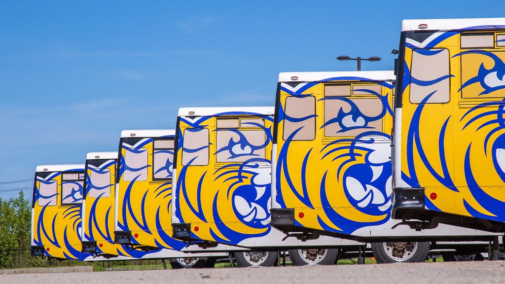 A row of JWU buses with the Wildcat emblazoned on the side.